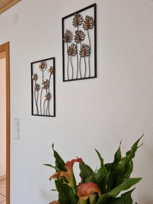 Ferienwohnung Seeblick بفولندورف المظهر الخارجي الصورة